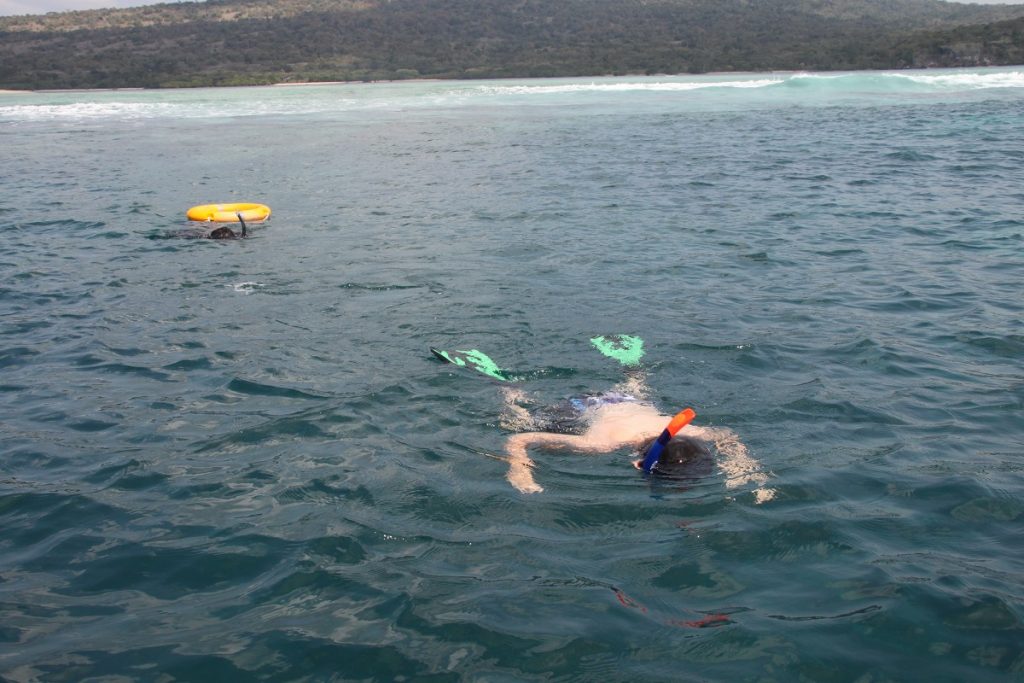 Expérience 8 Indonésie Bali Snorkeling Menjangan