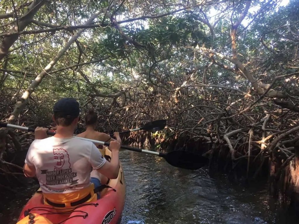 Expérience 9 Indonésie Java Bali Séance kayak dans la mangrove
