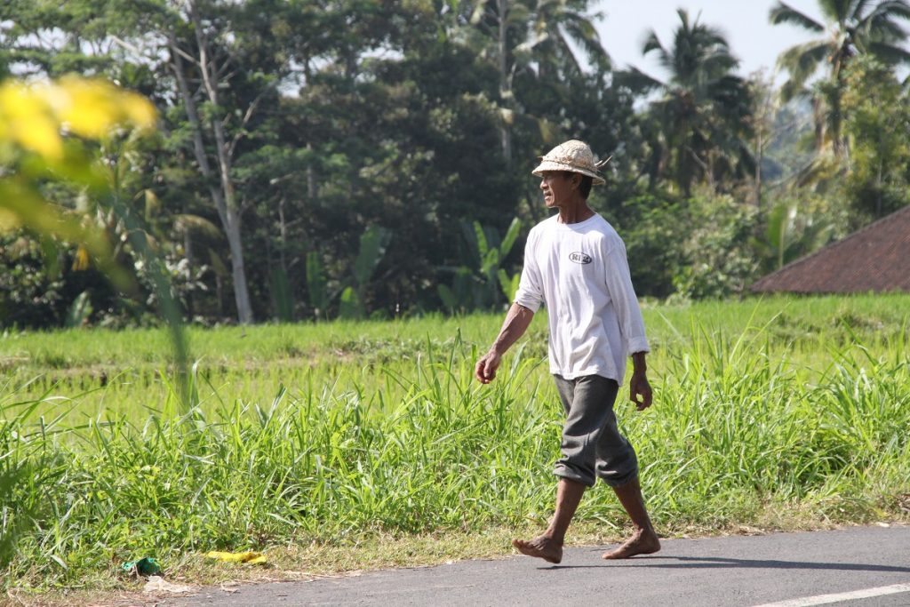 Voyage en famille à Bali Balinais – Slow Trotteurs