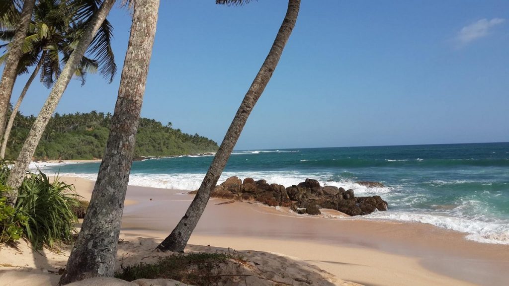 Sri Lanka plage Mirissa