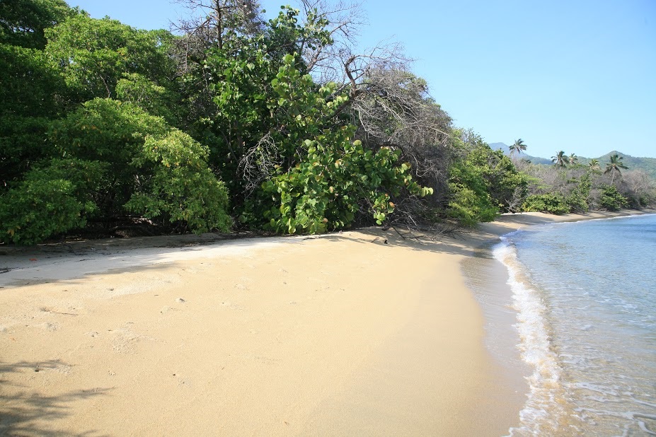 Colombie plage et foret au Parc de Tayrona