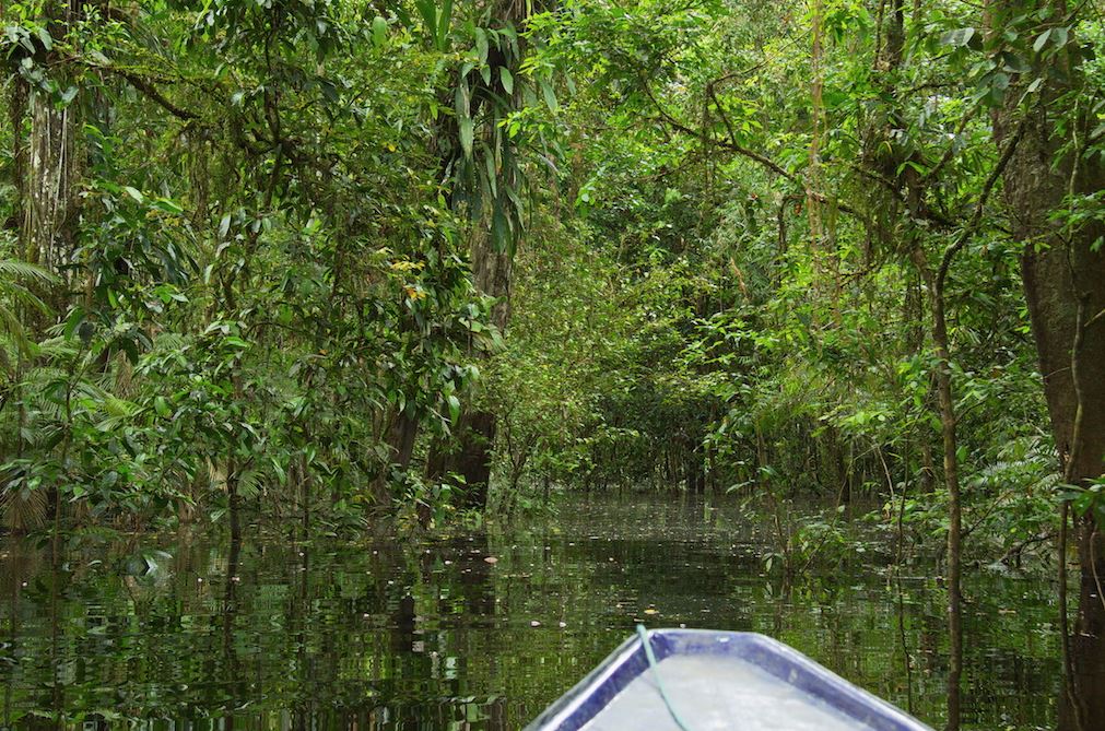 Voyage Responsable Colombie Slow Trotteurs Amazonie