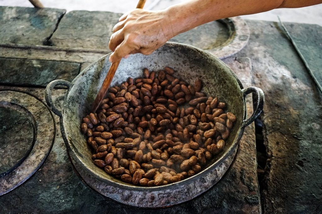 Voyage Responsable Pérou Circuit du Sud cacao